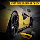 Portable Inflator 